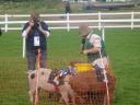 dsc00174.jpg